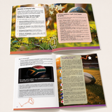 Spread of 4 pages of a rugby themed booklet